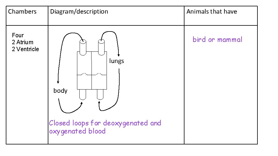 Chambers Diagram/description Animals that have Four 2 Atrium 2 Ventricle bird or mammal lungs