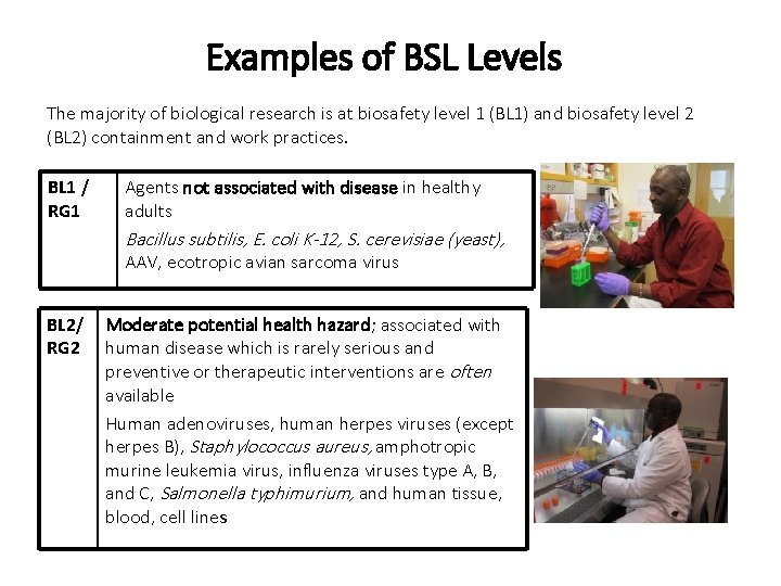 Examples of BSL Levels The majority of biological research is at biosafety level 1