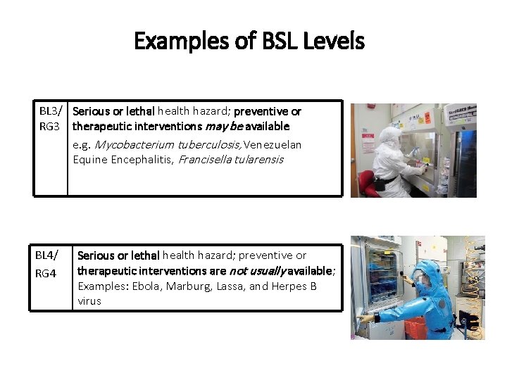 Examples of BSL Levels BL 3/ Serious or lethal health hazard; preventive or RG