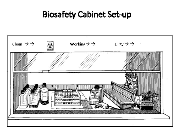Biosafety Cabinet Set-up Clean Working Dirty 