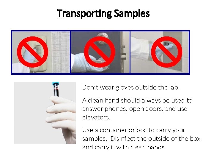 Transporting Samples Don’t wear gloves outside the lab. A clean hand should always be