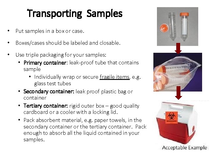 Transporting Samples • Put samples in a box or case. • Boxes/cases should be