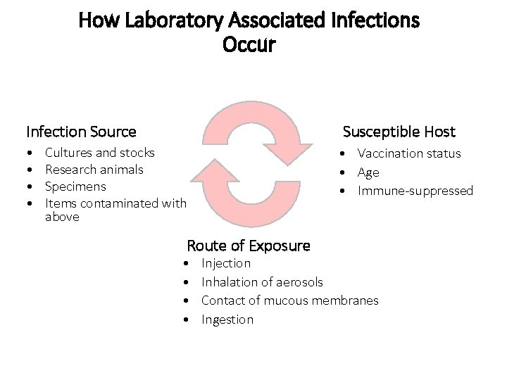 How Laboratory Associated Infections Occur Infection Source Susceptible Host • • • Vaccination status