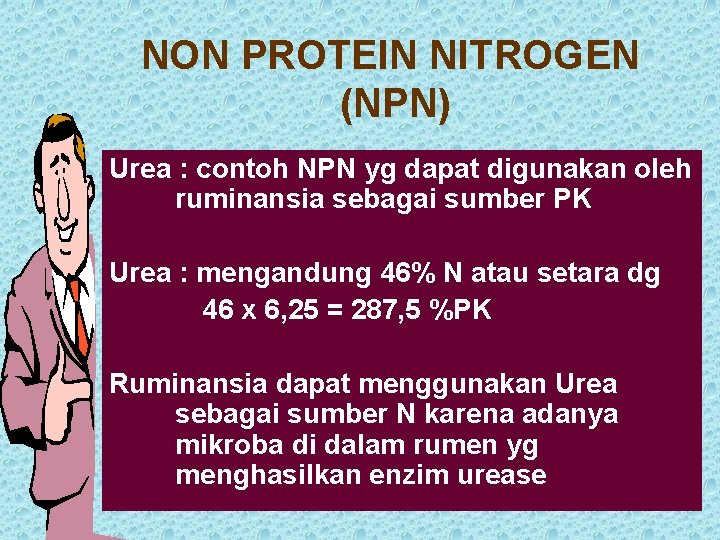 NON PROTEIN NITROGEN (NPN) Urea : contoh NPN yg dapat digunakan oleh ruminansia sebagai