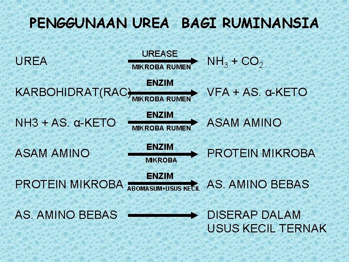 PENGGUNAAN UREA BAGI RUMINANSIA UREASE MIKROBA RUMEN ENZIM KARBOHIDRAT(RAC) MIKROBA RUMEN NH 3 +