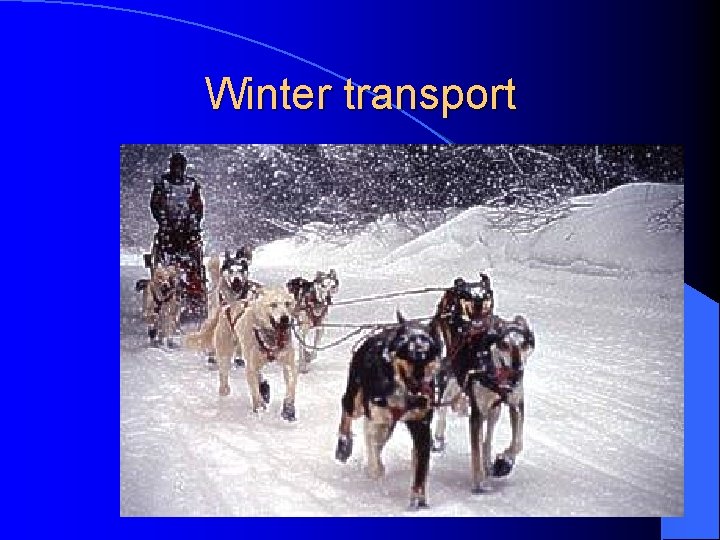 Winter transport  Winter transport