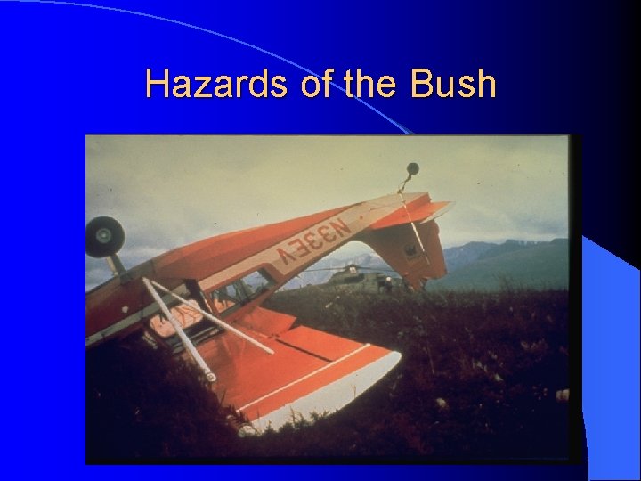 Hazards of the Bush  Hazards of the Bush