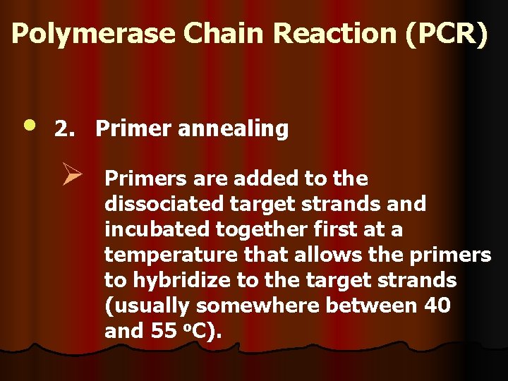 Polymerase Chain Reaction (PCR) • 2. Primer annealing Ø Primers are added to the
