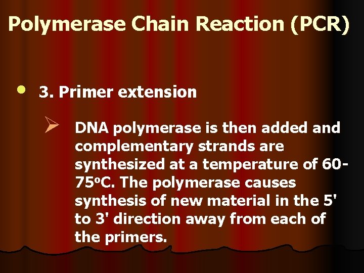 Polymerase Chain Reaction (PCR) • 3. Primer extension Ø DNA polymerase is then added