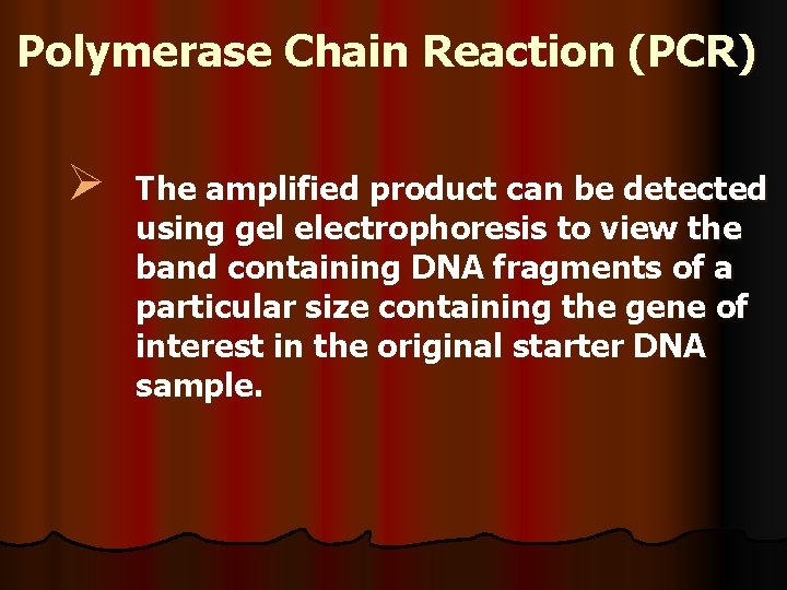 Polymerase Chain Reaction (PCR) Ø The amplified product can be detected using gel electrophoresis