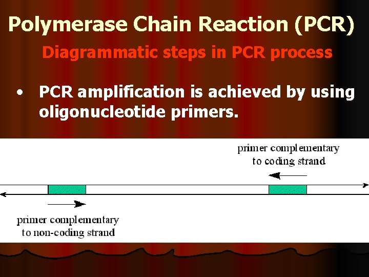 Polymerase Chain Reaction (PCR) Diagrammatic steps in PCR process • PCR amplification is achieved