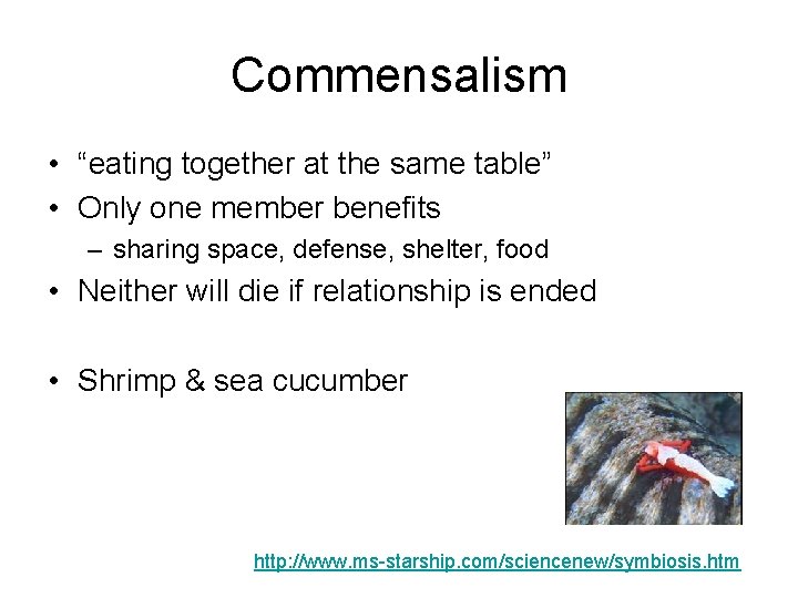 Commensalism • “eating together at the same table” • Only one member benefits –
