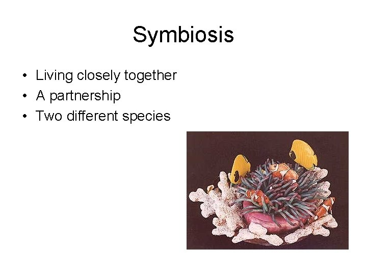 Symbiosis • Living closely together • A partnership • Two different species 