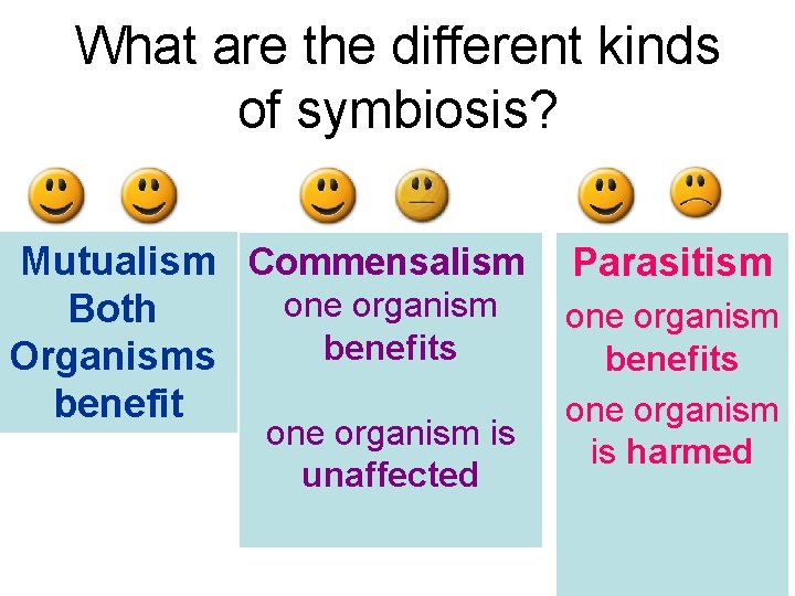 What are the different kinds of symbiosis? Mutualism Commensalism one organism Both benefits Organisms