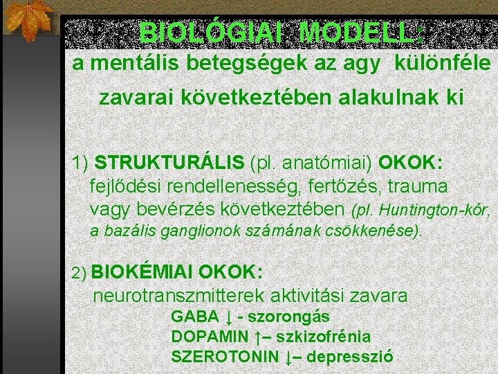 BIOLÓGIAI MODELL: a mentális betegségek az agy különféle zavarai következtében alakulnak ki 1) STRUKTURÁLIS