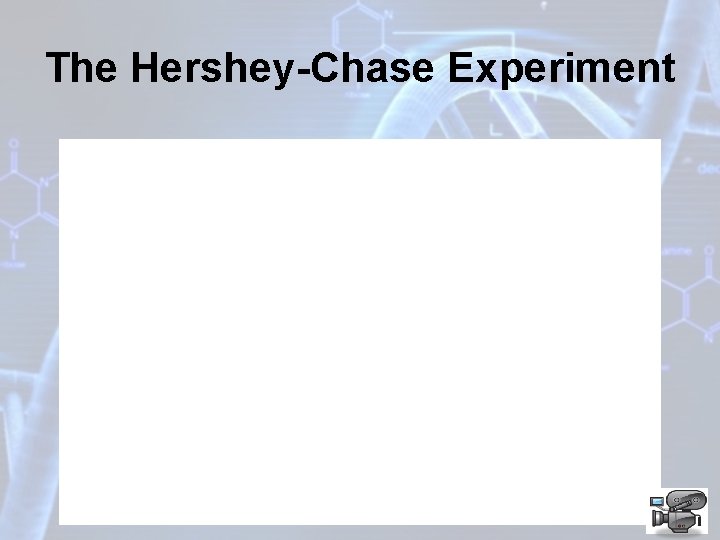 The Hershey-Chase Experiment 