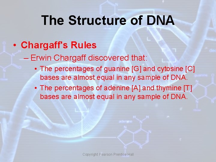 The Structure of DNA • Chargaff's Rules – Erwin Chargaff discovered that: • The