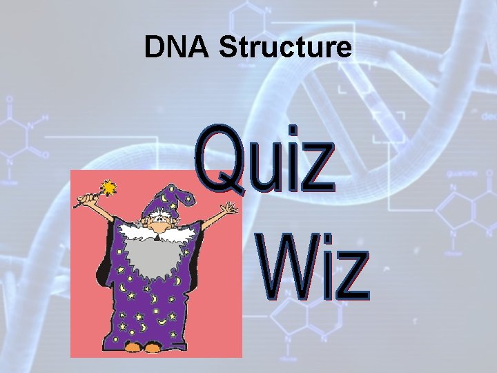 DNA Structure 