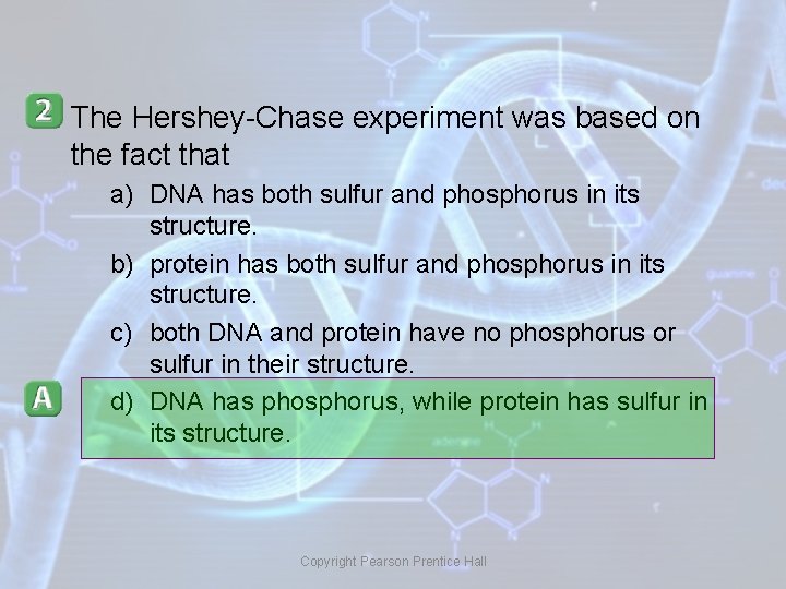 The Hershey-Chase experiment was based on the fact that a) DNA has both sulfur