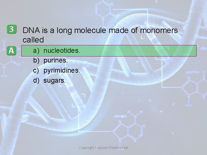 DNA is a long molecule made of monomers called a) b) c) d) nucleotides.