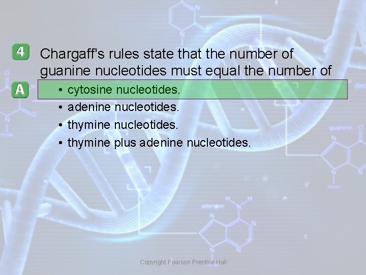 Chargaff's rules state that the number of guanine nucleotides must equal the number of