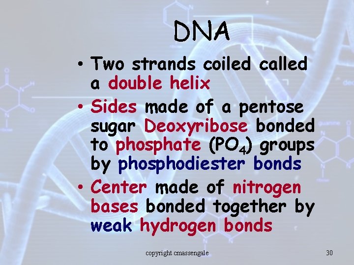 DNA • Two strands coiled called a double helix • Sides made of a