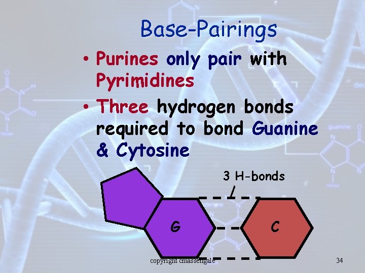 Base-Pairings • Purines only pair with Pyrimidines • Three hydrogen bonds required to bond