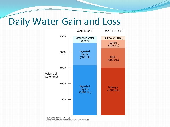 Daily Water Gain and Loss 