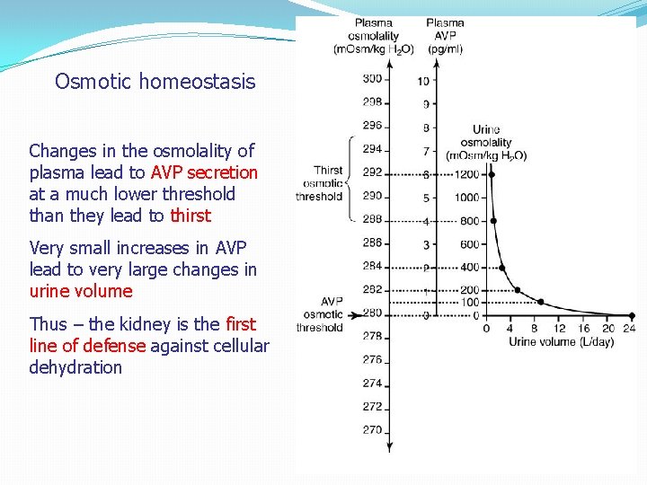 Osmotic homeostasis Changes in the osmolality of plasma lead to AVP secretion at a