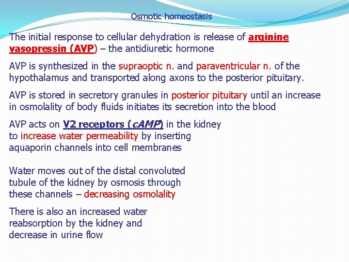 Osmotic homeostasis The initial response to cellular dehydration is release of arginine vasopressin (AVP)