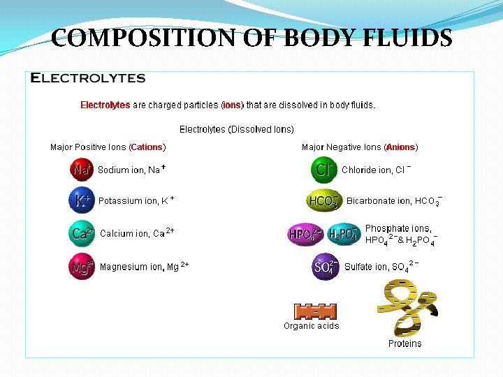 COMPOSITION OF BODY FLUIDS 