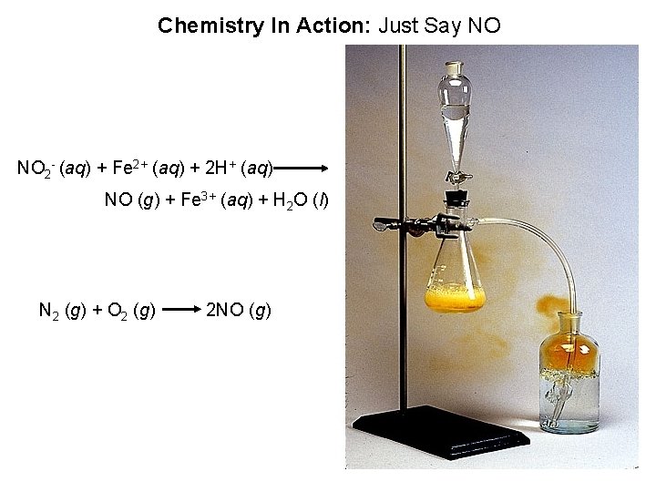 Chemistry In Action: Just Say NO NO 2 - (aq) + Fe 2+ (aq)