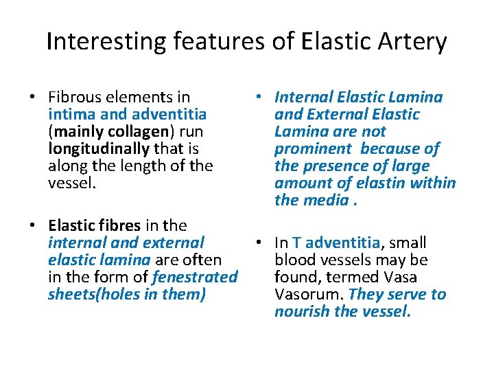 Interesting features of Elastic Artery • Fibrous elements in intima and adventitia (mainly collagen)