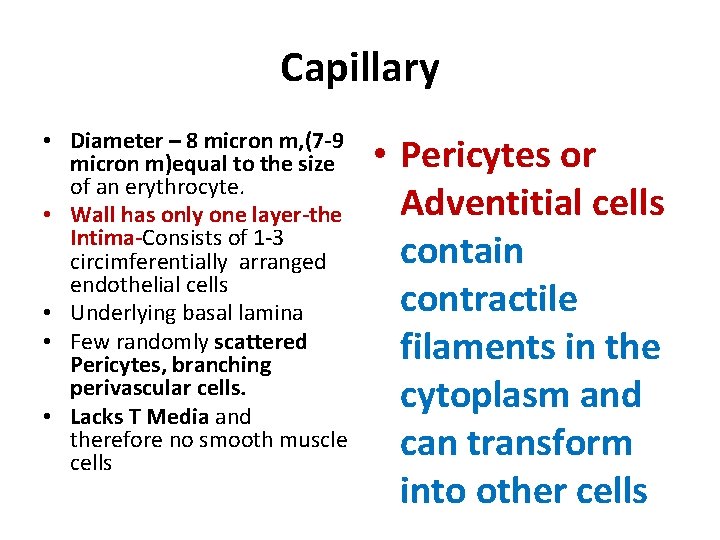 Capillary • Diameter – 8 micron m, (7 -9 micron m)equal to the size