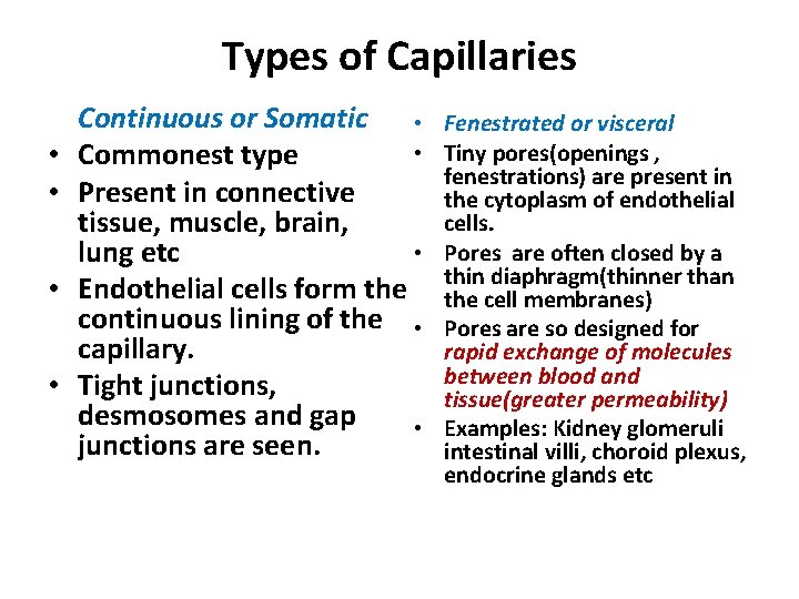 Types of Capillaries • • Continuous or Somatic • • Commonest type Present in