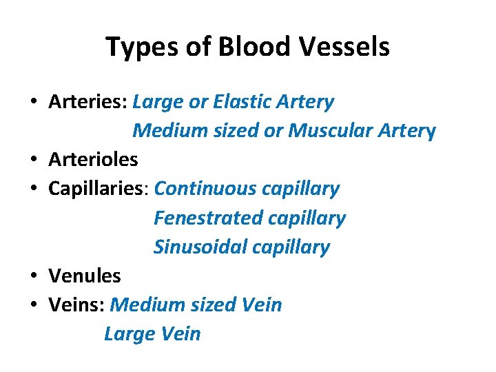 Types of Blood Vessels • Arteries: Large or Elastic Artery Medium sized or Muscular