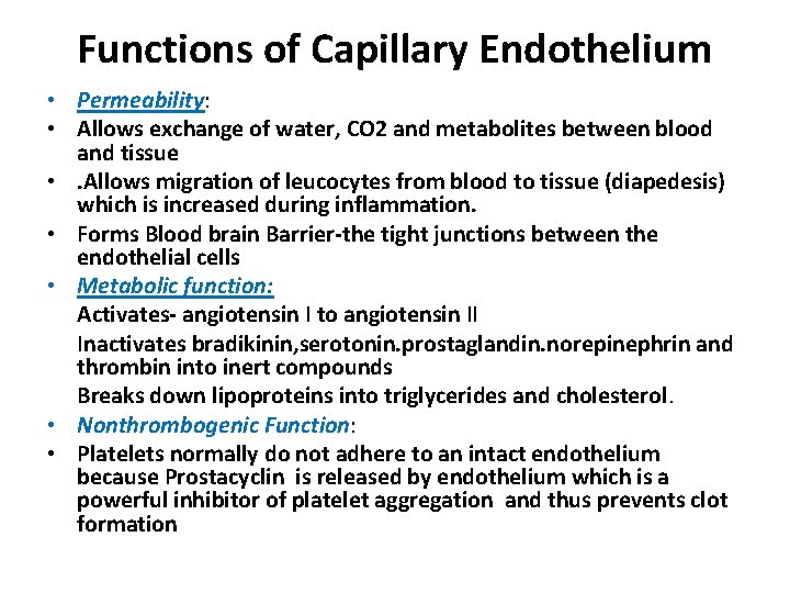 Functions of Capillary Endothelium • Permeability: • Allows exchange of water, CO 2 and
