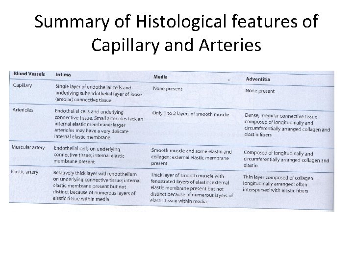 Summary of Histological features of Capillary and Arteries 