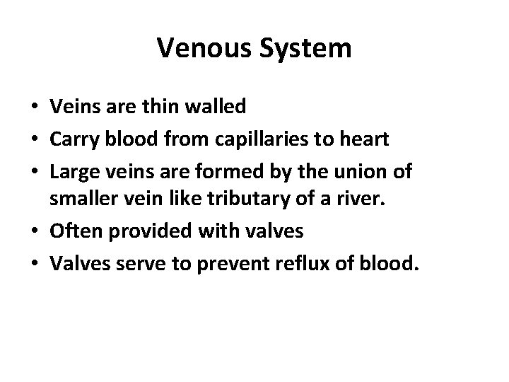 Venous System • Veins are thin walled • Carry blood from capillaries to heart