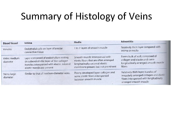 Summary of Histology of Veins 