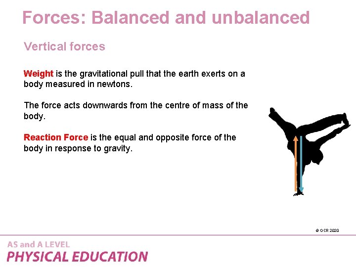 Forces: Balanced and unbalanced Vertical forces Weight is the gravitational pull that the earth