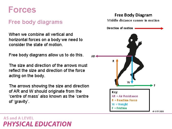 Forces Free Body Diagram Middle distance runner in motion Free body diagrams Direction of