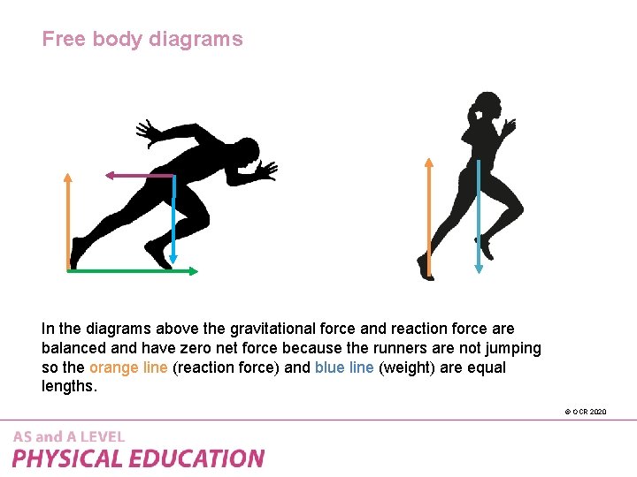 Free body diagrams In the diagrams above the gravitational force and reaction force are