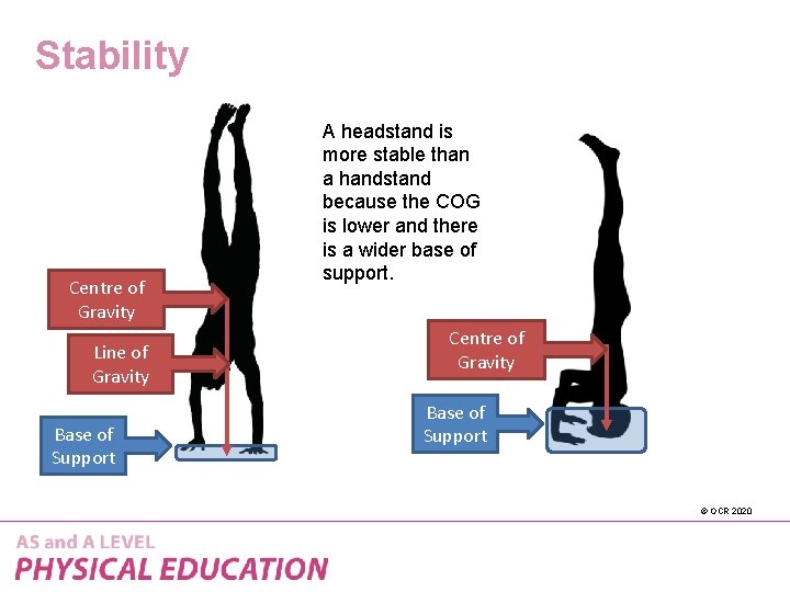Stability Centre of Gravity Line of Gravity Base of Support A headstand is more