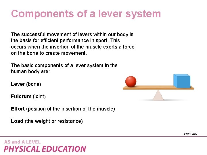 Components of a lever system The successful movement of levers within our body is