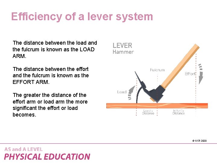 Efficiency of a lever system The distance between the load and the fulcrum is