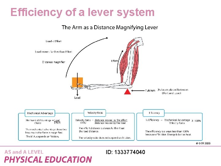 Efficiency of a lever system © OCR 2020 ID: 1333774040 