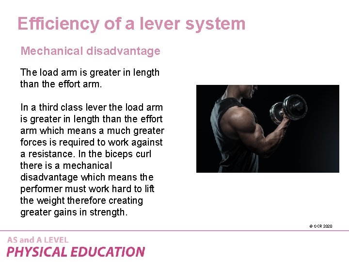 Efficiency of a lever system Mechanical disadvantage The load arm is greater in length