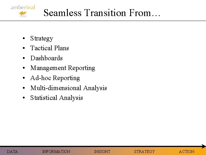 Seamless Transition From… • • DATA Strategy Tactical Plans Dashboards Management Reporting Ad-hoc Reporting