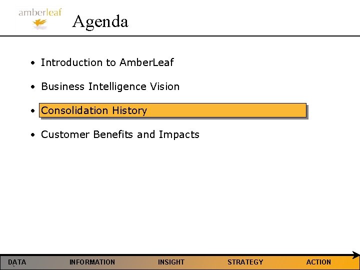 Agenda • Introduction to Amber. Leaf • Business Intelligence Vision • Consolidation History •